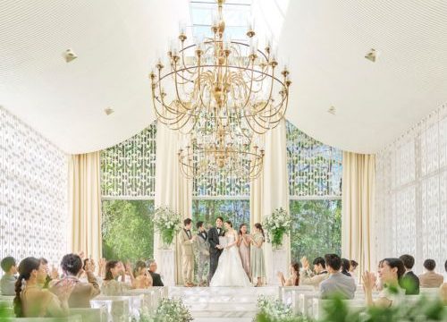 トピックス画像