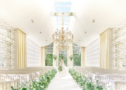 トピックス画像