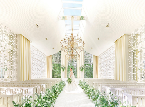 トピックス画像